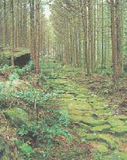 種まき権兵衛と馬越峠