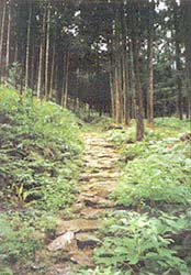 熊野街道
