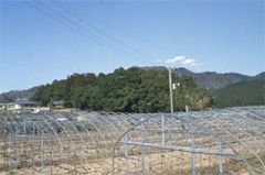 鵜倉半島と河村瑞賢の足跡