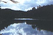 三本松池