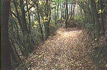 伊賀市島ヶ原三本松周辺