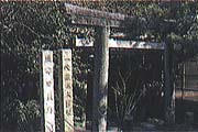 社