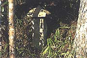 六部供養碑