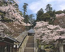 丹生大師周辺