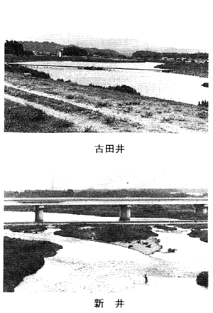 古田井　新井