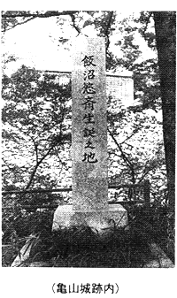 （亀山城跡内）