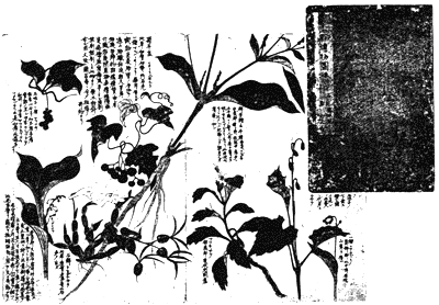 史料