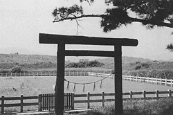 二見の御塩浜（平成６年５月撮影）