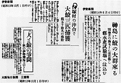 鮫騒動についての新聞記事切抜き