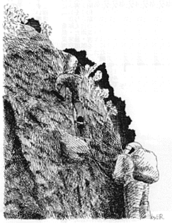 山岳部員イラスト