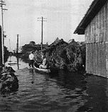 川越付近の伊勢湾台風状況・浸水（朝田昭吉氏提供）
