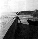 川越付近の伊勢湾台風状況・堤防の欠損（朝田昭吉氏提供）