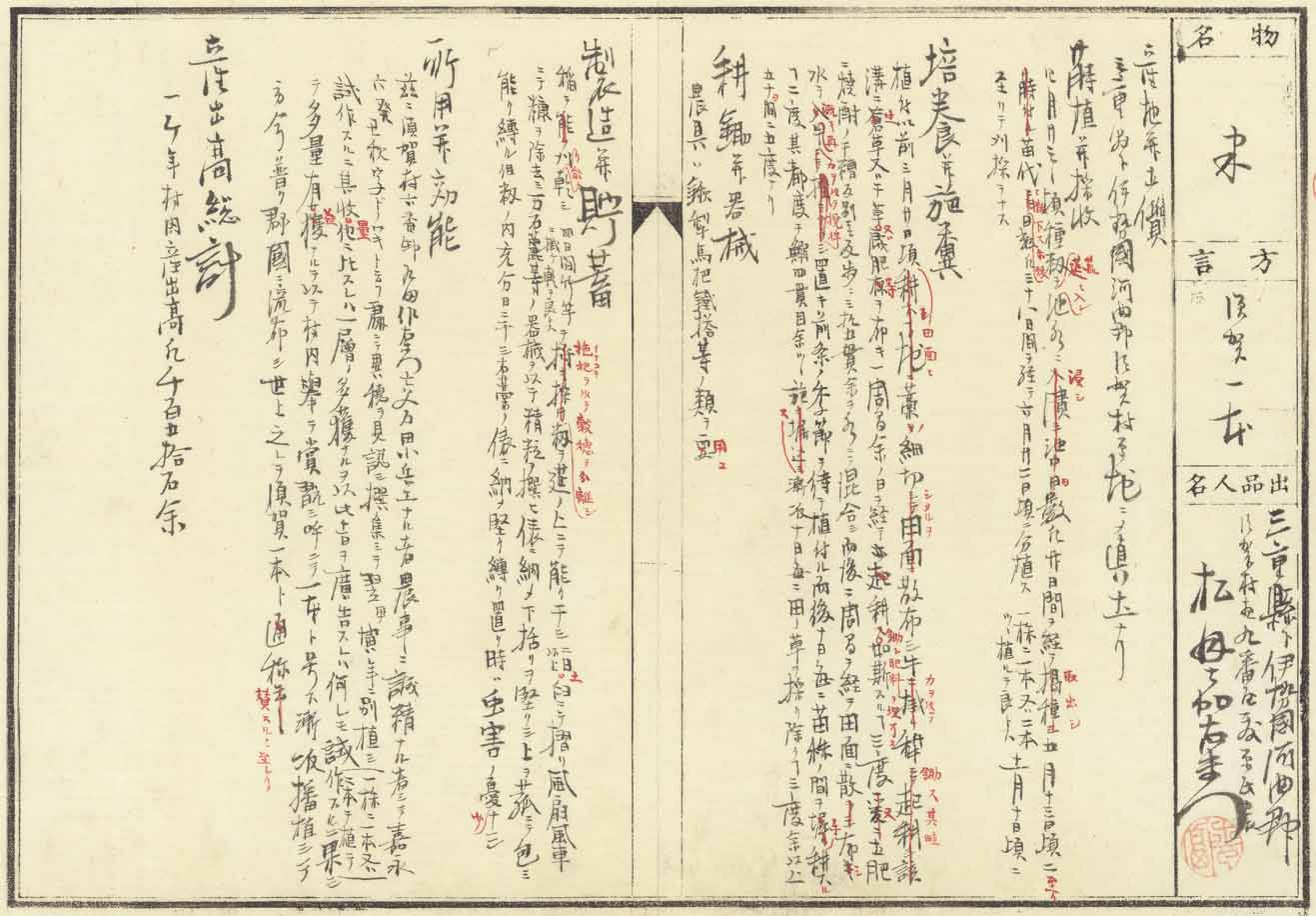 「須賀一本」の出品解説書（拡大）