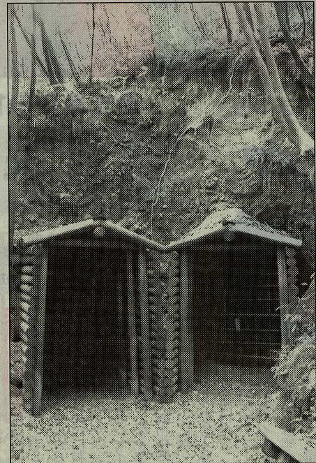丹生の水銀鉱山跡