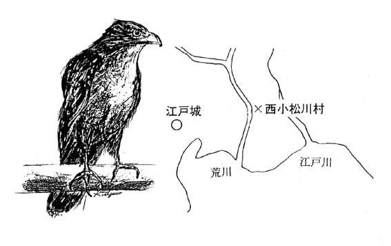 牧戸甚内が移り住んだ西小松川村位置図