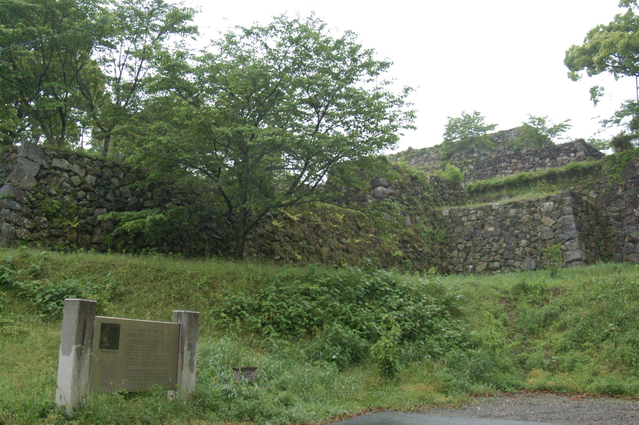 田丸城遠景
