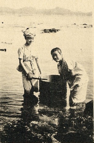磯シャツ姿の海女を撮影した絵葉書