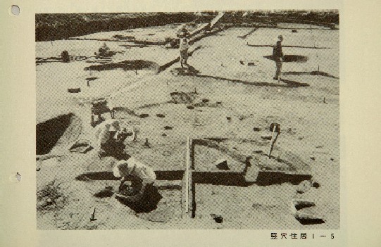 当時の発掘調査の様子