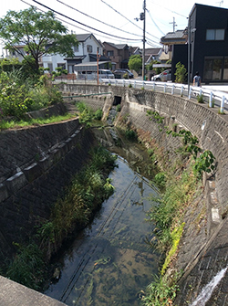 斎王が禊した川？