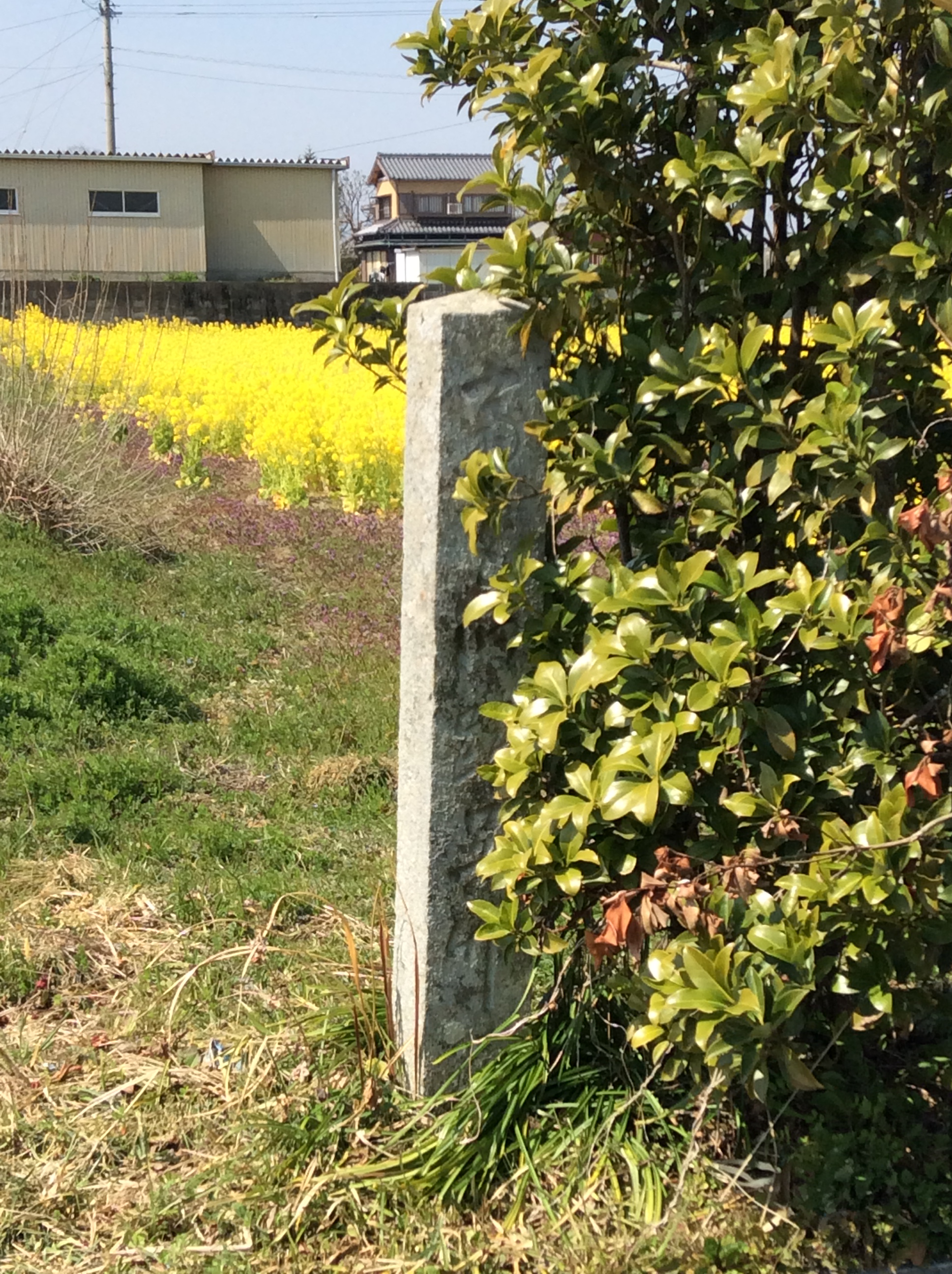 斎宮呉竹の藪の碑