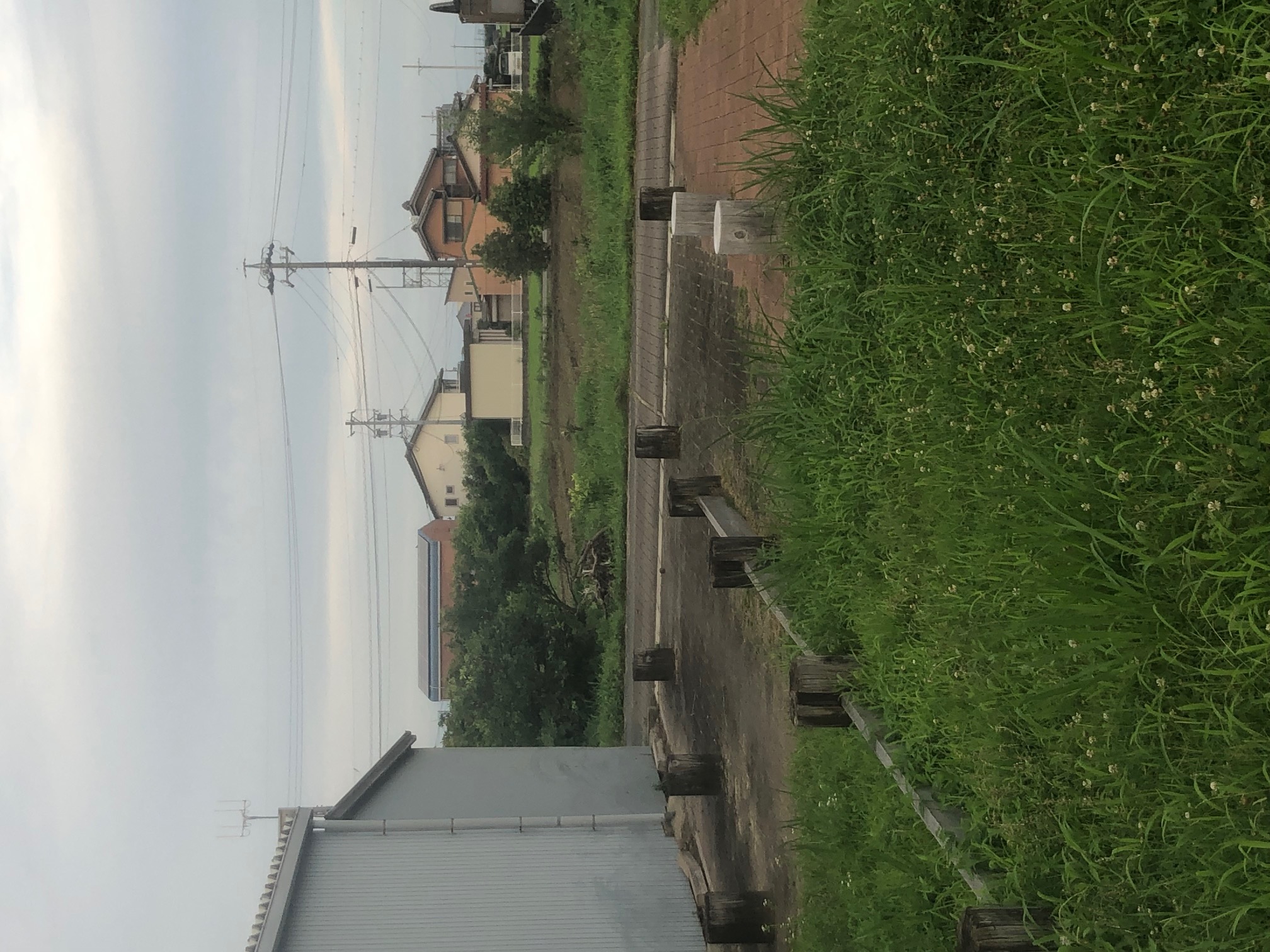 現在の八脚門広場