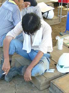 調査員も少し夏バテ状態