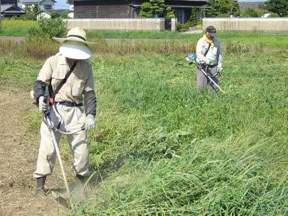 発掘現場のまわりの草刈りも大変