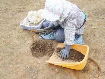 土が固いと手バチや草削りも使います