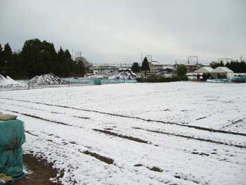 雪におおわれた発掘現場
