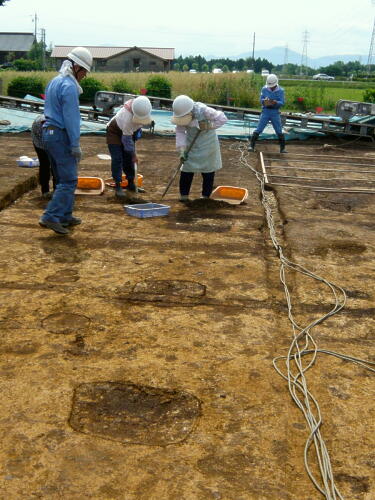 柱穴が３つ並んでいます。こうしてきれいに並ぶと建物跡であることがわかります。