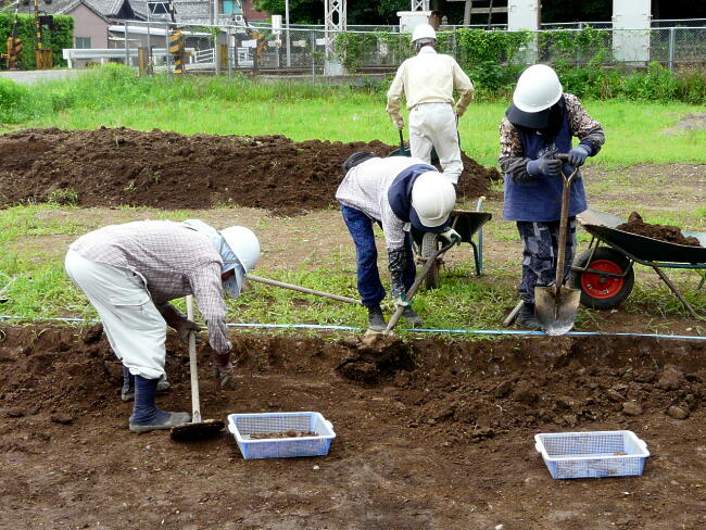 表面の土を除去したところです。