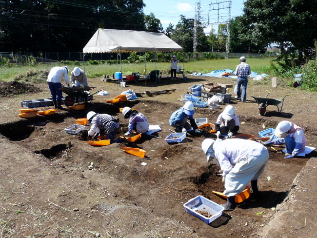 わずか２４平方メートルの調査区ですが、土器はたくさん出ます。