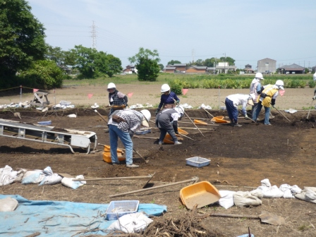 発掘調査の様子（地面の黒くなっているところが昔の生活の跡（遺構）です。）
